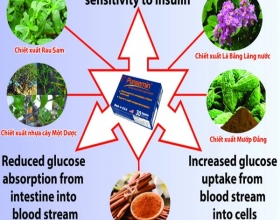 Công thức bữa sáng giúp ổn định đường huyết cho người bệnh đái tháo đường